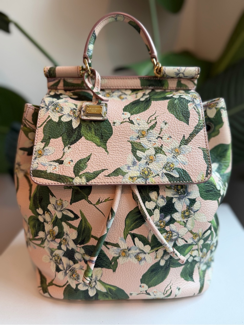 Dolce & Gabbana ‘Sicily Backpack’